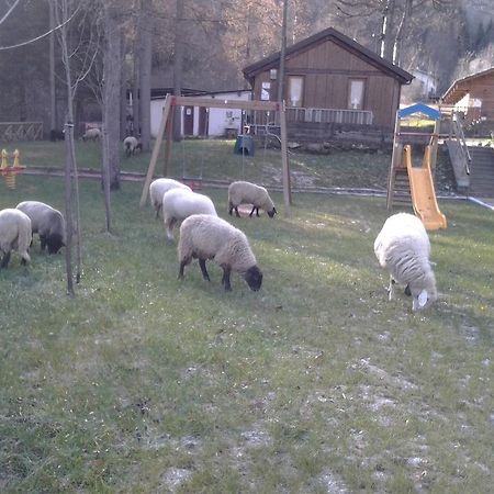 B&B La Miando Salza di Pinerolo Εξωτερικό φωτογραφία